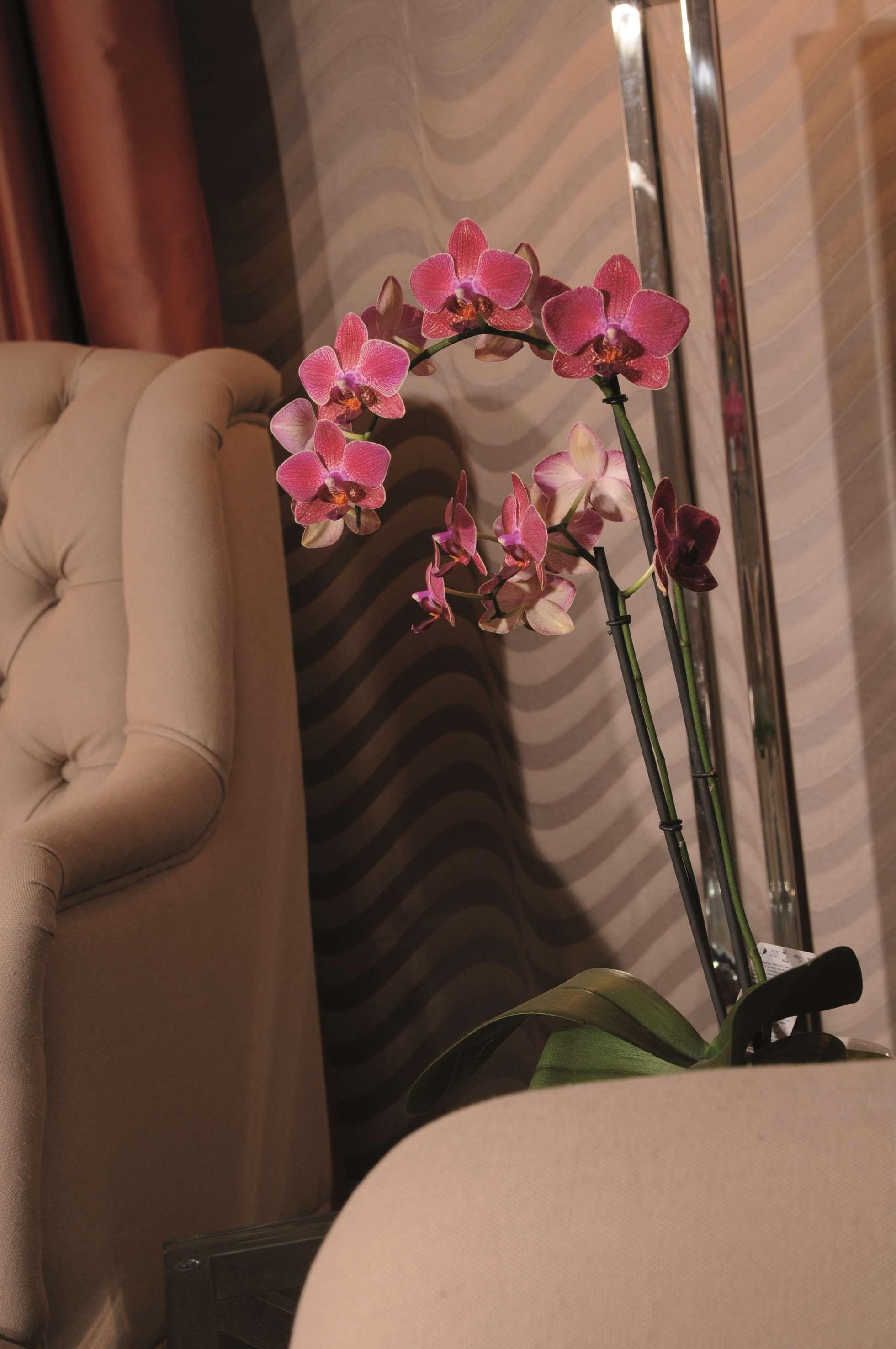 Best Western Plus Hotel Stadtpalais Braunschweig Luaran gambar